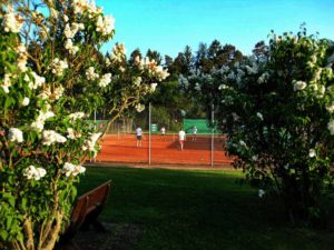 uthc-tennisanlage-blick-auf-trainerplatz-sommer