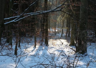 Winterwanderung des UTHC Tennisverein 22.01.2017